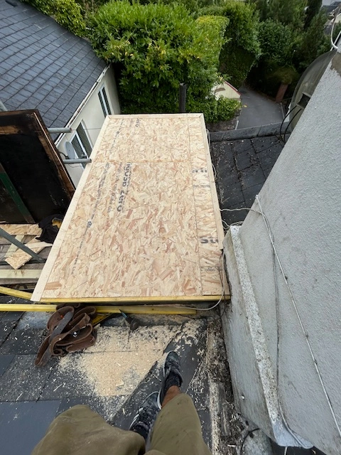 image showing new OSB3 decking.
